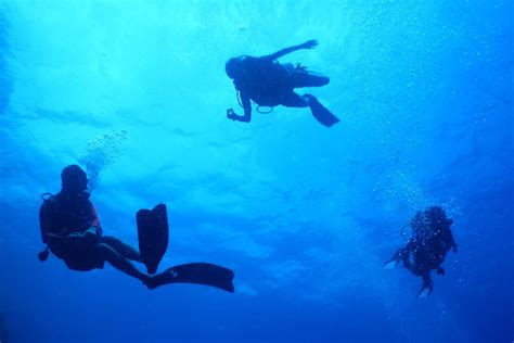 PADI Search And Recovery Diver In Marsa Alam Advenius