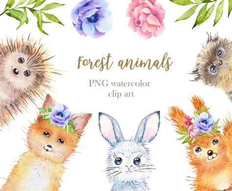 Watercolor forest animals (732331)