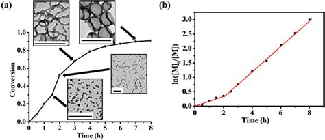 Dispersion Polymerization Kinetics For The Target Download Scientific Diagram