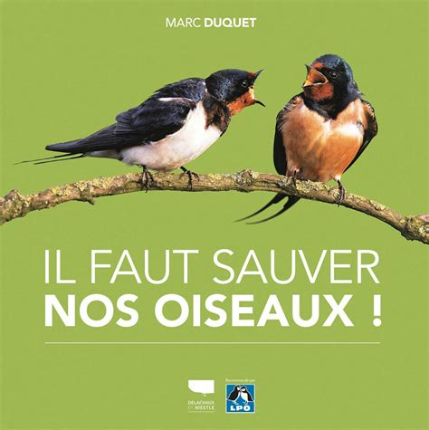 En Haut De La Pile Op Ration Bourre Piaf Pour Sauver Les Oiseaux