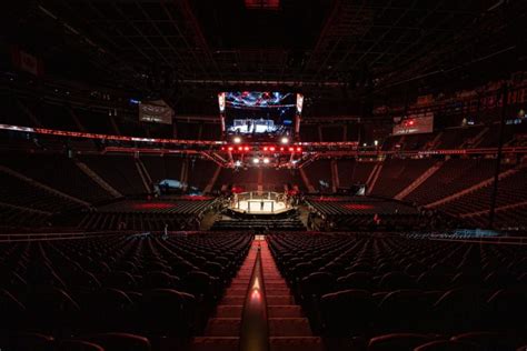 Como Assistir O UFC Londres Promessas Tom Aspinall E Paddy