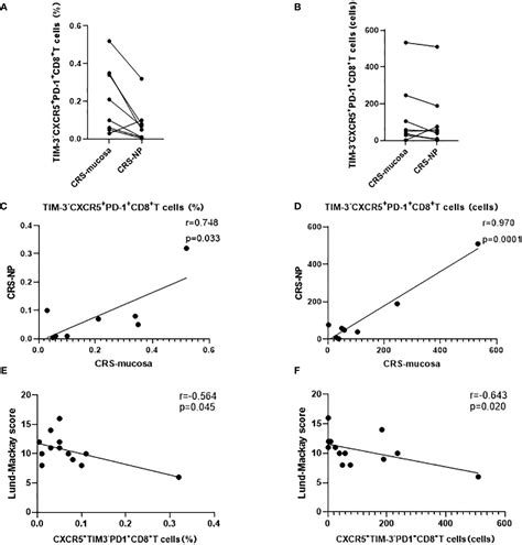 Frontiers Cxcr5 Tim 3 Pd 1 Stem Like Cytotoxic Cd8 T Cells Elevated In Chronic