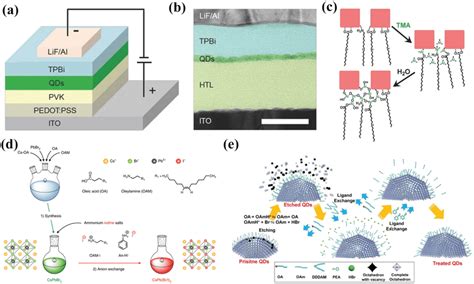 A Schematic Illustrations Of The Device Structure And B Cross‐section Download Scientific