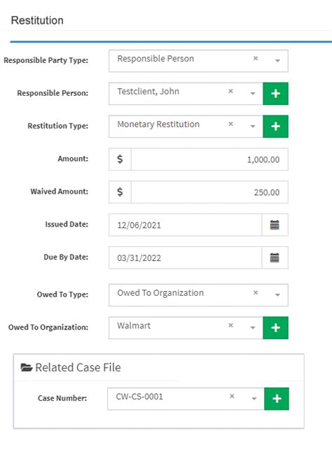 Treatment Courts Handel Information Technologies