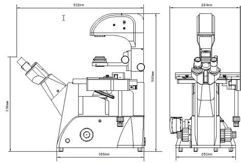 XD-3 Inverted Biological Microscope