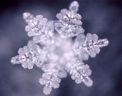 Dr. Masaru Emoto ~ Messages From Water Movie | Psychedelic Adventure