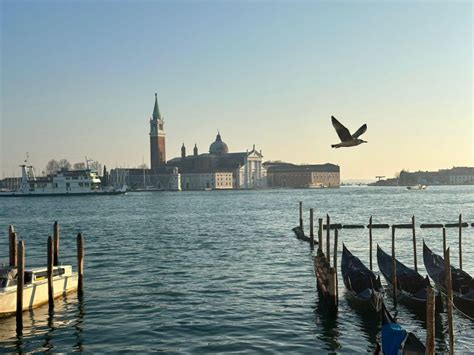 Venedig Guidad Stadsvandring I Liten Grupp Matprovningar Getyourguide