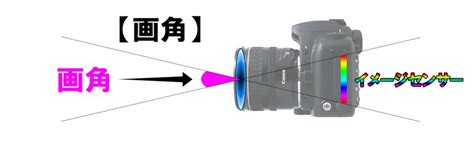 カメラの画角とは？画角の基礎知識を分かりやすく説明します！ 暮らしのサプリメント 田中卸商会