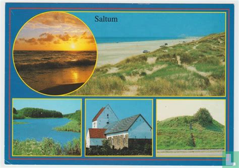 Saltum - Denmark - Multiview - Postcard - Dorpsgezichten - LastDodo