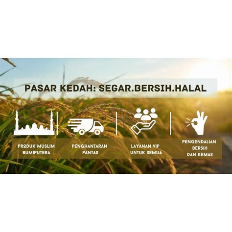 Pasar Kedah Isi Ikan Tenggiri Masam Jeruk Buang Perut Tanjung Dawai