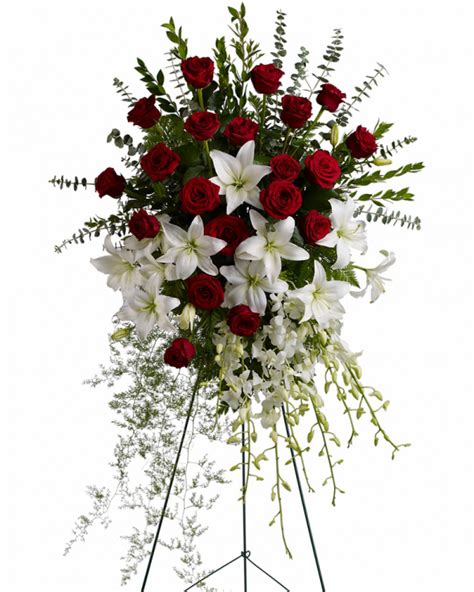 Elegant Tribute Spray Veldkamps Sympathy Flowers