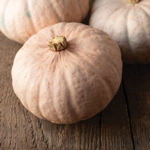 Winter Squash Pink Kabocha Tz F Kings Seeds Direct