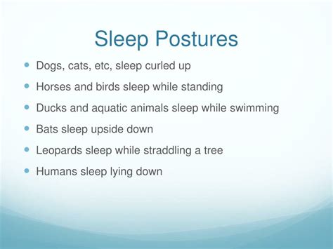 Ppt Physiological Functions Of Sleep Powerpoint Presentation Free