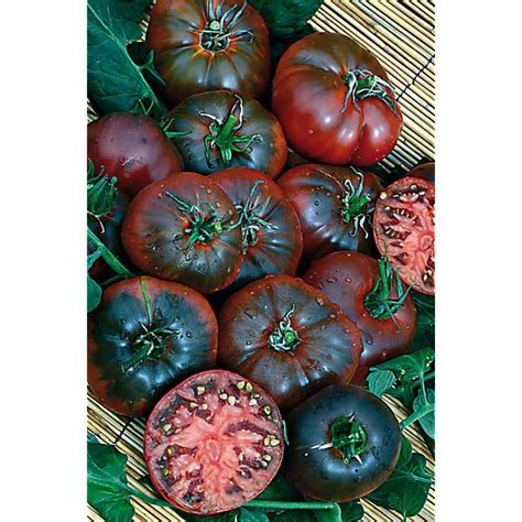 Tomate Noire De Crim E S Lection Yalta Graines Baumaux