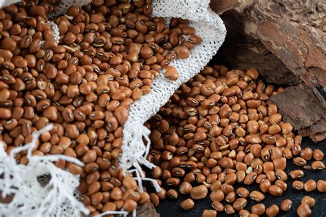 Estiagem Pode Reduzir Rea Plantada De Feij O Na Bahia Aponta