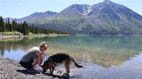 Exploring Haines And Kluane NP Dredge No 4 Tour And Glass Blowing