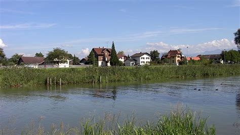 alter rhein bei rheineck revier ii fisch hitparade
