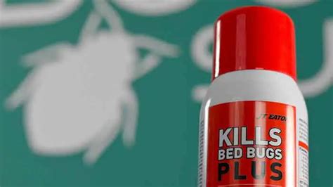 Best Bed Bug Sprays-DIY Homemade, Natural, Brand Reviews | Pestbugs