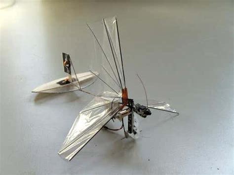 Flying robots and cyborgs inspired by insects | New Scientist