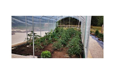 Serre Tomates M X M Serres Tonneau