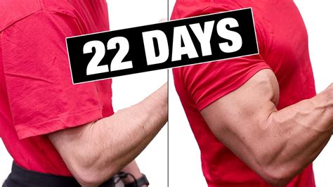 Get Bigger Arms In 22 Days GUARANTEED YouTube