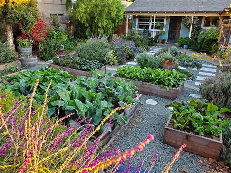 How to Start a Fall Garden: Best Fall Vegetables to Grow ~ Homestead ...