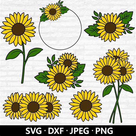 Sunflower Svg Etsy