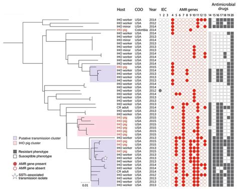 High Resolution Population Structure Of Clade Livestock Associated