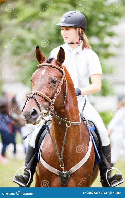 Young Rider Girl In Helmet On Bay Horse Stock Image Image Of Riding