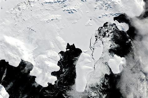 The Situation At Wilkins Ice Shelf Is Urgent As Scientists Strive To