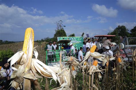 Panen Di Bekas Ladang Ganja Jagad Tani Petaninya Milenial