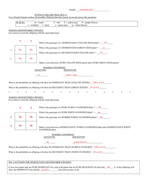 Monohybrid Cross Worksheet Answers – E-streetlight.com