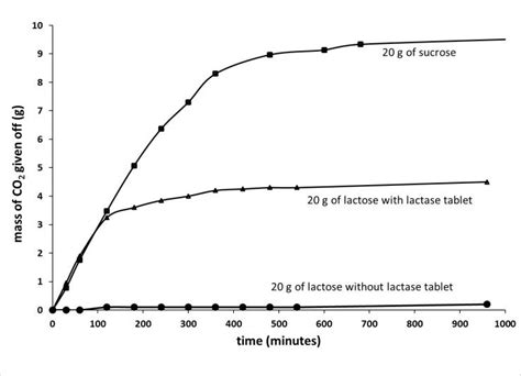 Yeast Fermentation Diagram