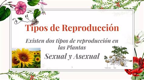 Reproducción Sexual Y Asexual En Las Plantas Ppt