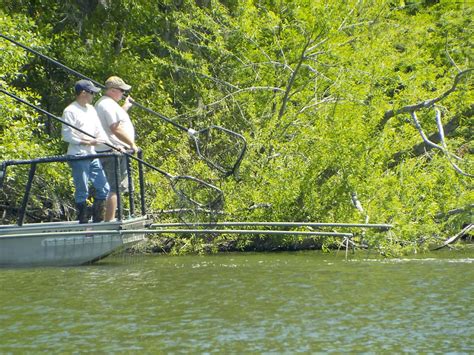 Lake Marion Sc Fishing Report Unique Fish Photo