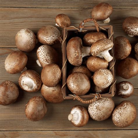 Best Cremini Mushroom Substitutes For Cooking Tastylicious