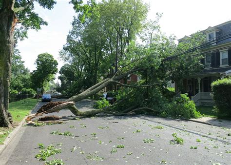 storm cleanup emergency tree services pacific arboriculture
