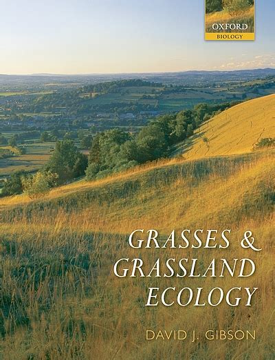 Grasses And Grassland Ecology