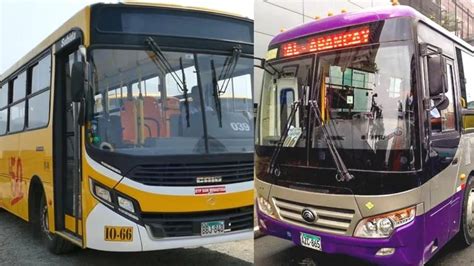 Corredor Morado ¿cuáles Son Las Líneas Y Buses Que Operarán En Su