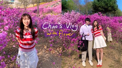 Vlog 부천 진달래동산 꽃놀이 🌸ㅣ아침수영ㅣ벚꽃ㅣ평양면옥ㅣ서울근교ㅣ데이트ㅣ직장인브이로그 Youtube