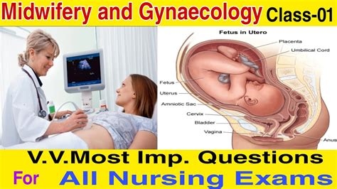 Midwifery And Gynaecology Class For Anm Gnm Cho B Sc Nursing