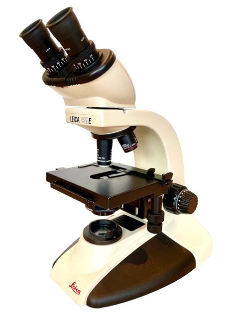 Microbiology Module 3 Microscope Parts Diagram Quizlet