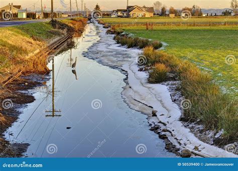 Winter Sunset At A Farm Ditch Stock Photo Image Of Landscape Ditch