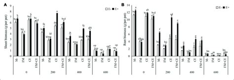 Biomass In Shoots And Roots Of Tall Fescue With E And Without E