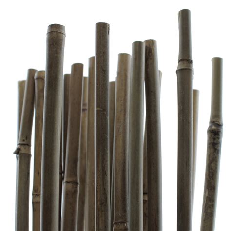 Tuteur en bambou naturel de 120cm de long lot de 25 unités