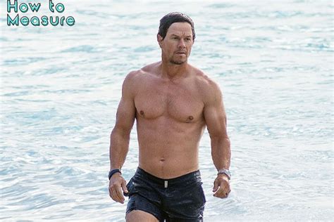 Mark Wahlberg measurements: Height, Weight, Biceps Size, Shoe Size