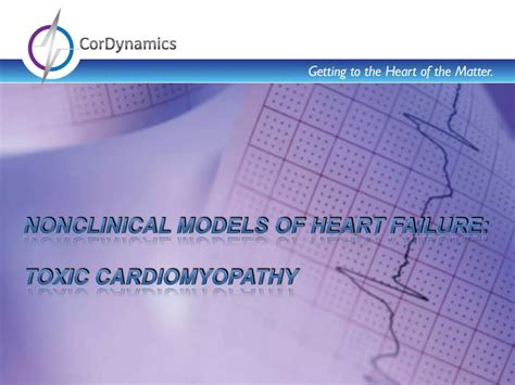 Nonclinical Models Of Heart Failure Doxorubicin Cardiomyopathy Ppt