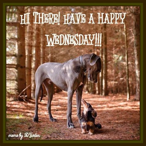 Happy Wednesday Dog Images