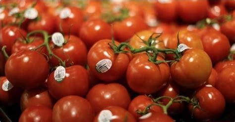 Tomato Price Hike आसमान छूती कीमतों के बीच मोदी सरकार खरीदेगी टमाटर