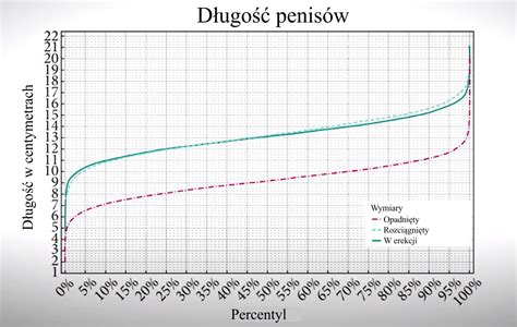 Jak dużego masz kutasa Porównaj go z 15 tysiącami facetów Sztuka